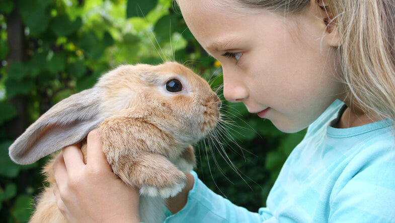 girl with her rabbit