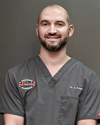 Dr. Aaron Knapp DVM